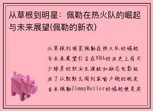 从草根到明星：佩勒在热火队的崛起与未来展望(佩勒的新衣)