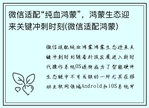 微信适配“纯血鸿蒙”，鸿蒙生态迎来关键冲刺时刻(微信适配鸿蒙)